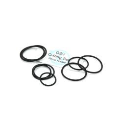 DSV O-ring kit for white holder type