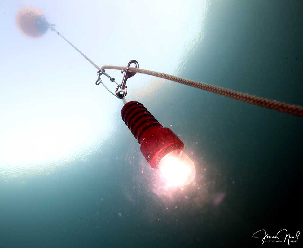 Another view of the GEN-X Pathfinder underwater